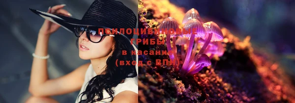 скорость Алзамай