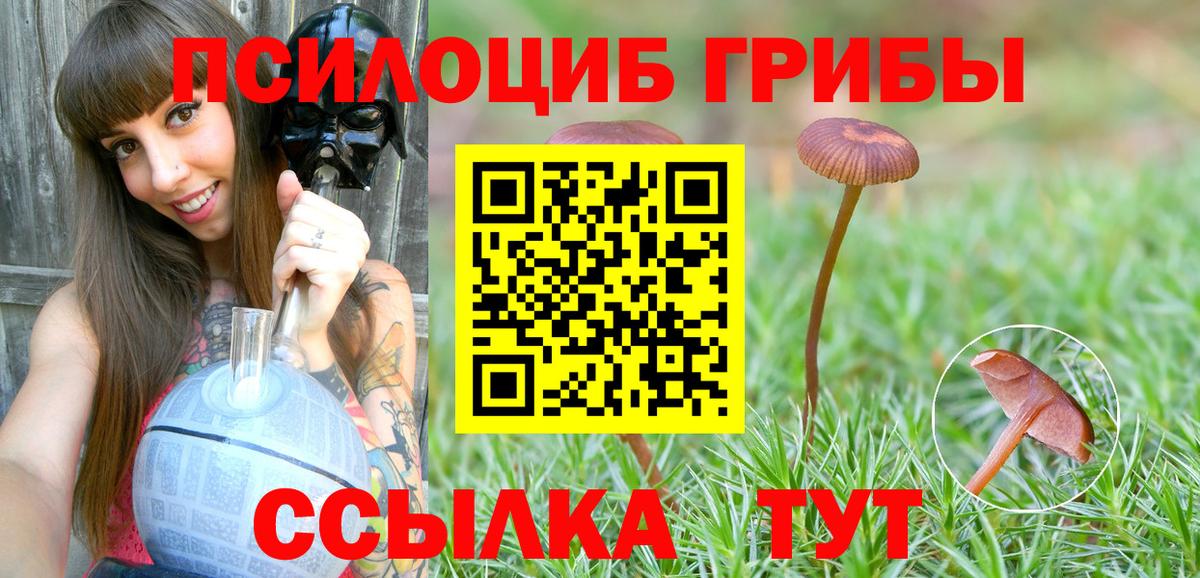 Псилоцибиновые грибы мицелий  Псилоцибиновые грибы Psilocybe  Вход с VPN  Джанкой 